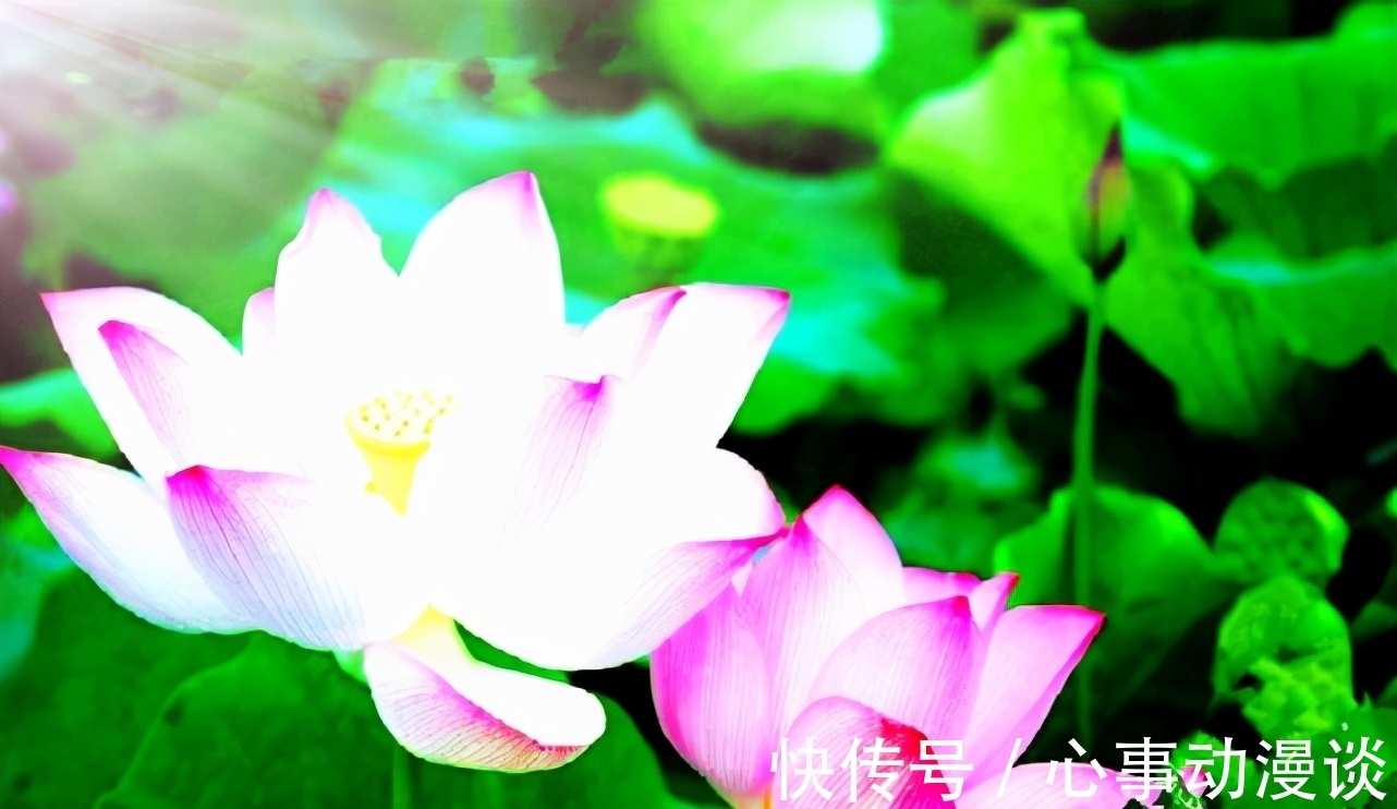 翰林学士!国学常用典故:八百孤寒和一饭千金是什么关系