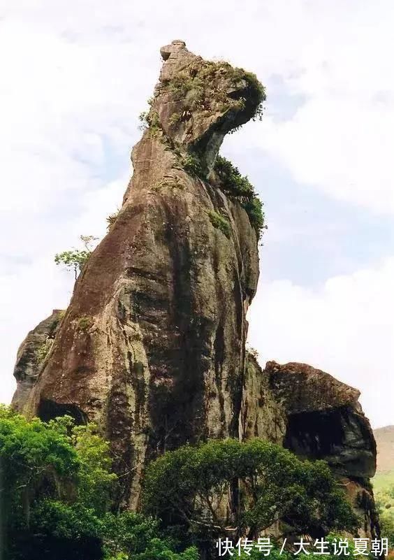 千层糕|令人拍案叫绝的世界级照片，百年难得一见