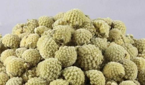 青钱柳|糖尿病的“福音”找到了,每天用“它”泡水喝,血糖或能悄悄下降