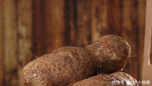 天然|患有胃病别慌, 常吃这些天然“养胃王”, 修复胃黏膜, 养胃更护胃!