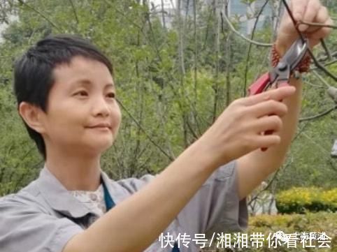 优秀!黄浦这位园艺“老法师”又获奖啦!