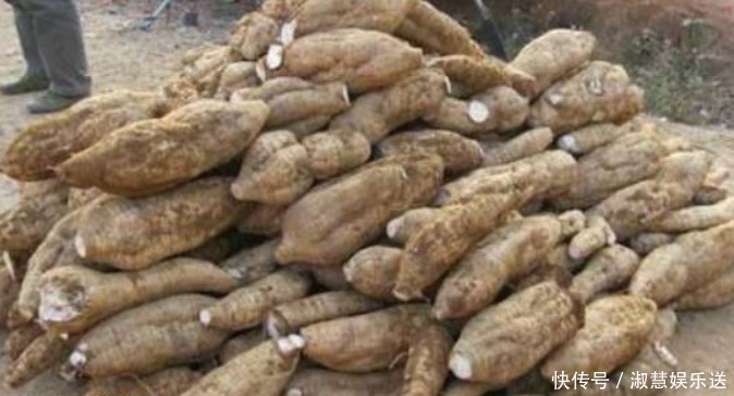 补血|三伏天到了,女人多吃以下食物,补血润肤,排毒消脂,好处多多