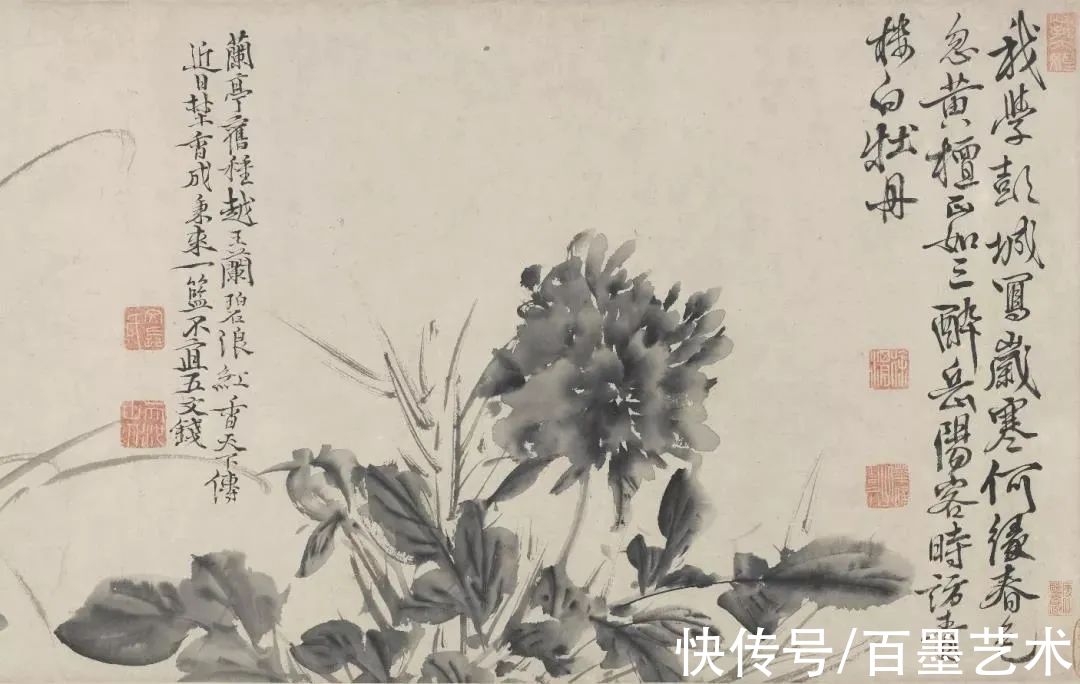 明朝@青藤白阳：明朝花鸟两大高峰