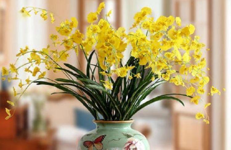 4种花漂亮又好养,越养越“值钱”,养10盆也不嫌多!