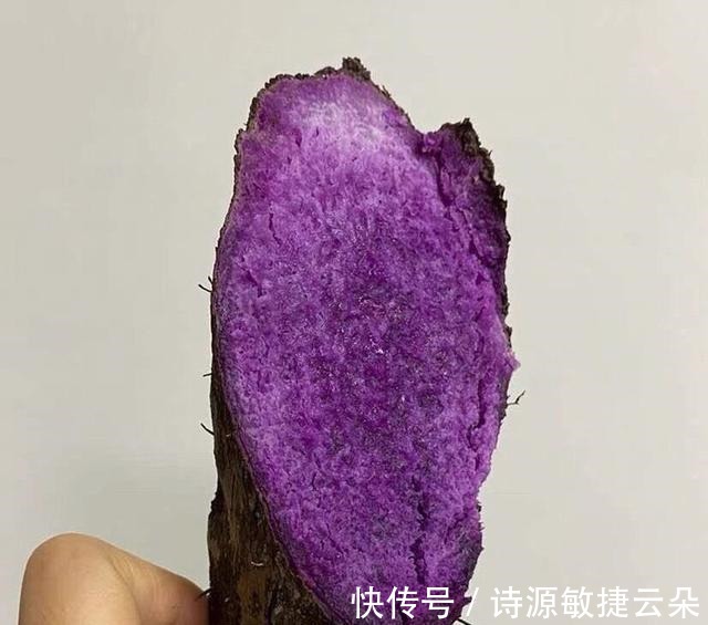 紫色|被称为“月子参”的紫色山药,江西人坐月子常吃,外地人很少知道!
