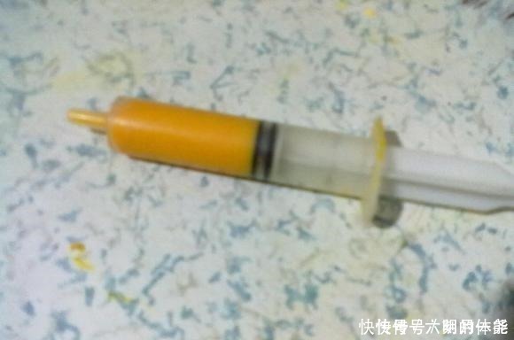 蜂蜜|玉米粉一天100斤鱼获,使用针筒上饵方便又卫生