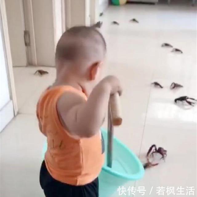 宝妈|妈妈上个厕所回来,看到“熊孩子”与小龙虾“大战”,哭笑不得