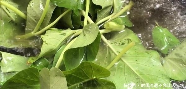 秘诀|做好水煮肉片,掌握这秘诀就够了!肉片滑嫩到筷子都夹不住过瘾