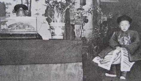 溥仪|末代皇帝溥仪为何没有子嗣?都是宫女惹的祸