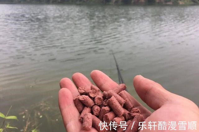 鱼群|冬季打窝的三个误区,千万别将就,窝子打好了鱼儿排着队进窝