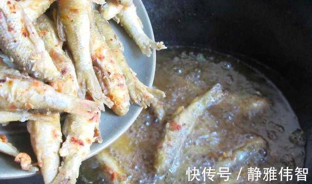 小鱼|这种小鱼全是肉,买一斤5块钱给老公做了下酒菜,饭店要四十块钱