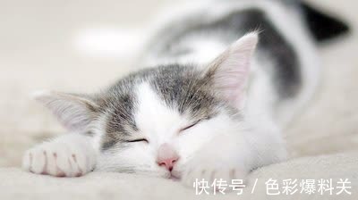 |幽默笑话:同桌做着做着卷子睡着了,在睡梦中放了一个响屁