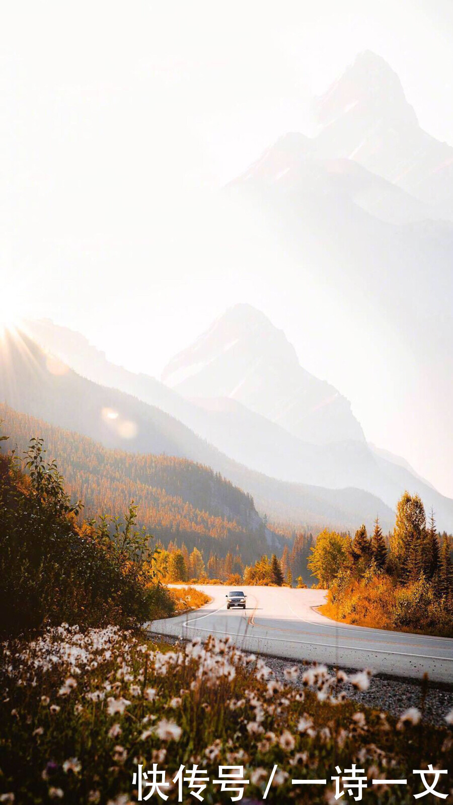 我踏过山河万顷,也栖过湖泊海洋,却唯独因你眉间乱心扉