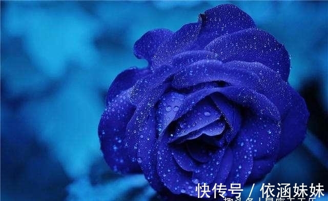 金牛座|近期4星座运势:桃花运转好,爱神相助,有缘人出现,真爱降临