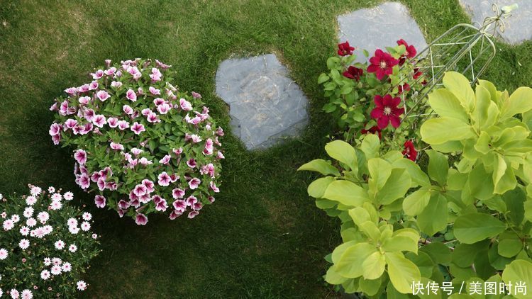 洋房|为了可以养花，我建了座小洋房，终于可以打造梦寐以求的花园了