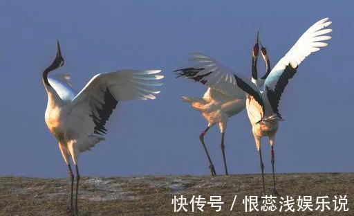 子女|过了60,自私的父母最伟大!此文很有意义,希望中老年人认真读读