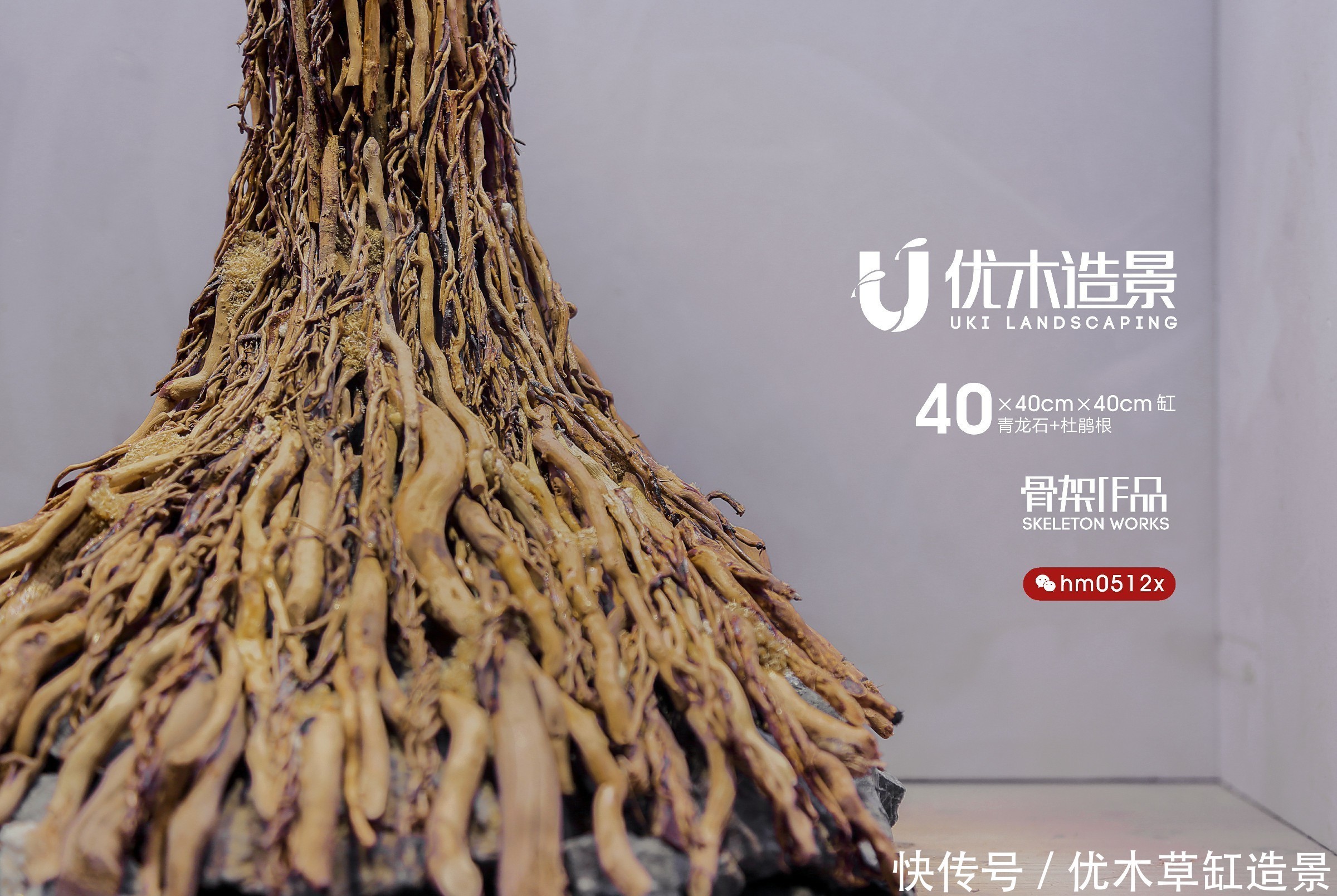 闲说几句,再来看四零方缸的生命之树的草缸造景骨架