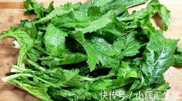 营养物质|很多人只吃根茎,其实叶子才是宝贝,配豆腐上锅一蒸,营养又好吃