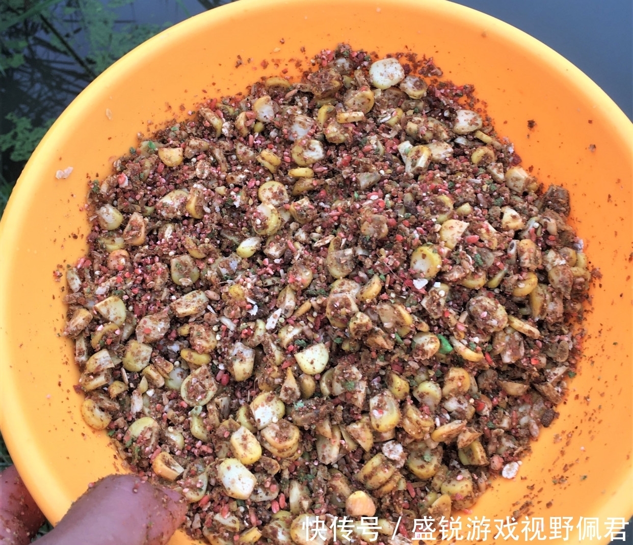 浮漂|野钓打窝没鱼口?找对窝料,选对方法,惊喜不断