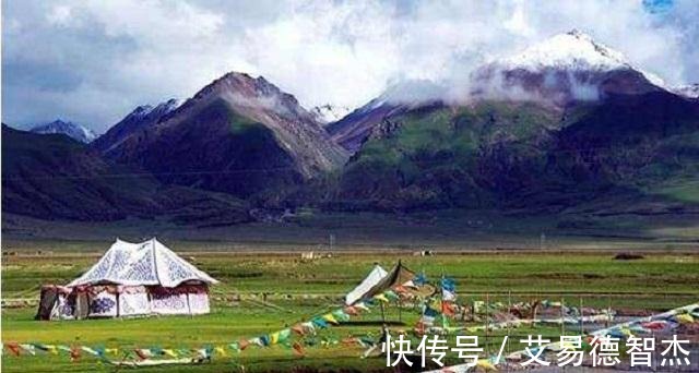 冬虫夏草|中药材之中有一味药,成长期漫长,价格曾高达8万元一斤