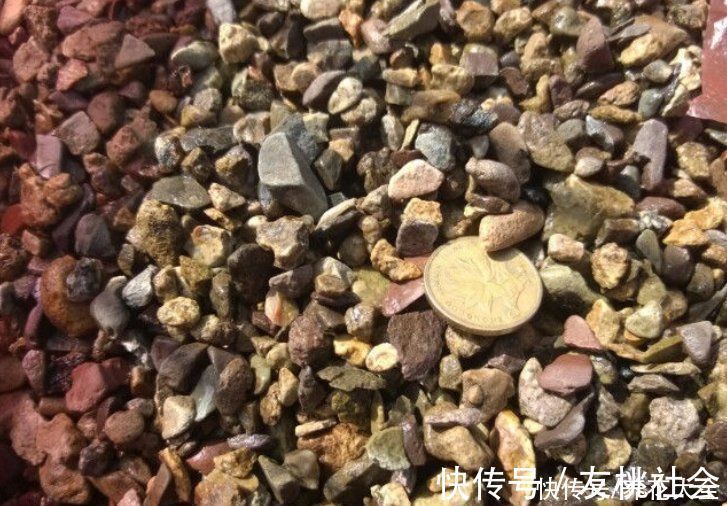 养花土里加上这5种颗粒,透气透水效果好,养花再也不烂根