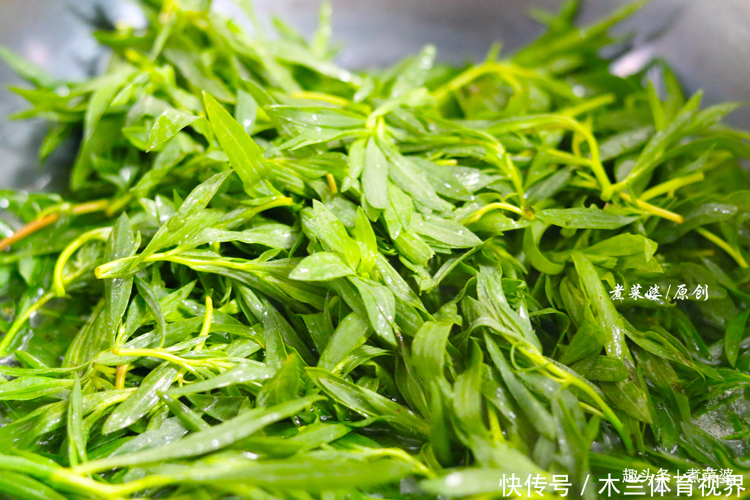 抓紧|此菜农村遍地生长不值钱,城里一斤4元,夏天抓紧吃,特别好吃