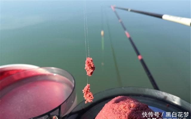 钓鱼技巧:搓饵和拉饵的应用技巧,饵料状态用得好,咬钩量会翻倍