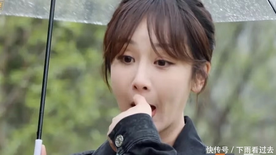 老路 《向往》要走《极挑》老路?规则奇怪不让嘉宾进,杨紫气得要回家