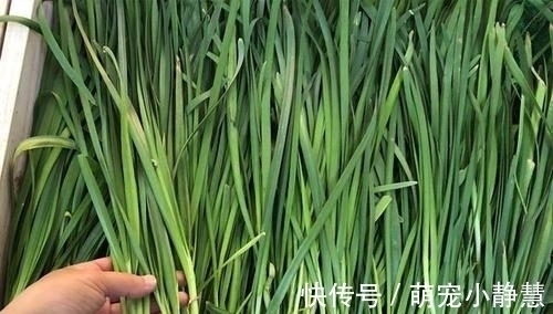 选购韭菜时,看到这4种扭头就走,摊主:眼真尖,是识货的主!