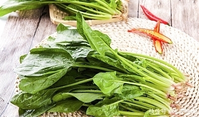 “圆叶菠菜”和“尖叶菠菜”有啥区别?菜农:差别很大,别挑错了