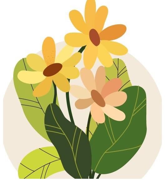 “塑料花女团”LOGO征集作品投票啦!Pick起来