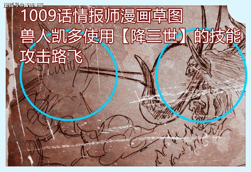 海贼王1009话，九侠又开挂并让大蛇领便当，狸猫果实能力者上线玩耍