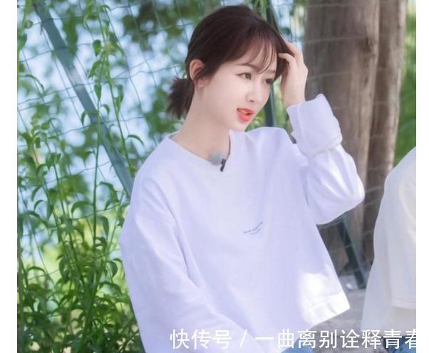 影视作品|《萌探》探案，因为有杨紫宋亚轩等人的加盟而充满欢乐