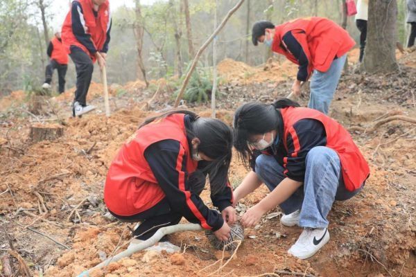 添绿24000株，今春全民义务植树继续为武汉增颜值