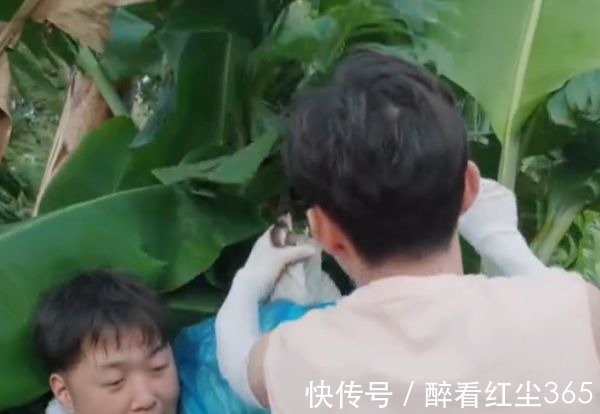 內(nèi)情|快樂家族空降向往4，卻唯獨(dú)缺了謝娜何炅不小心說內(nèi)情后，早料到