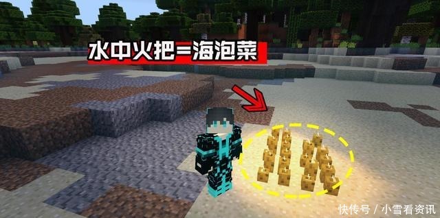 我的世界睁着眼睡觉的村民 水中燃烧的火把来自萌新的疑问 全网搜