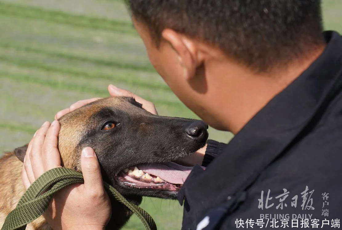 北京警犬训练基地用上了哪些高科技？现场独家揭秘