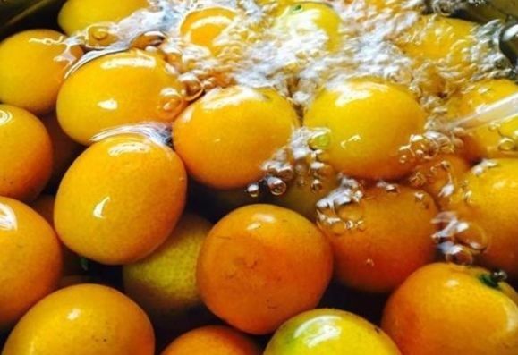 止咳化痰的“小妙方”，做法教给你，化痰效果一级棒！