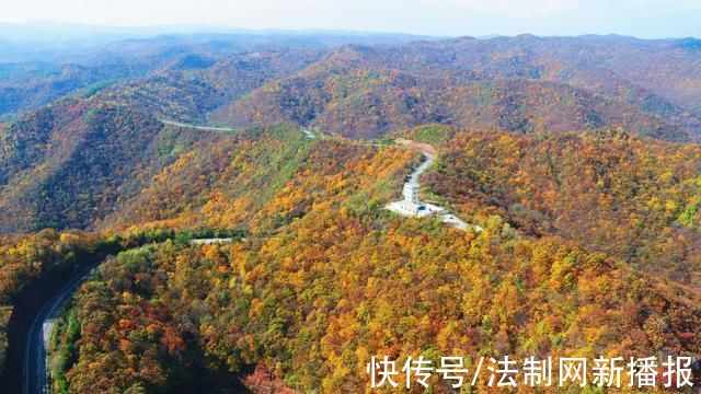 石马路#旬邑县石马路:金秋时节浓墨重彩 宛如一条行走的“画廊”