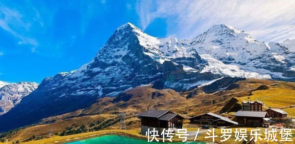 阿里巴巴|刘强东只要7500万,为何接受了3亿?张磊:不接受我就投竞争对手