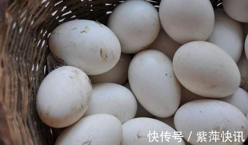 钙质|骨质疏松的“发物”是核桃?想要保护骨骼,医生建议避开1白、2黄