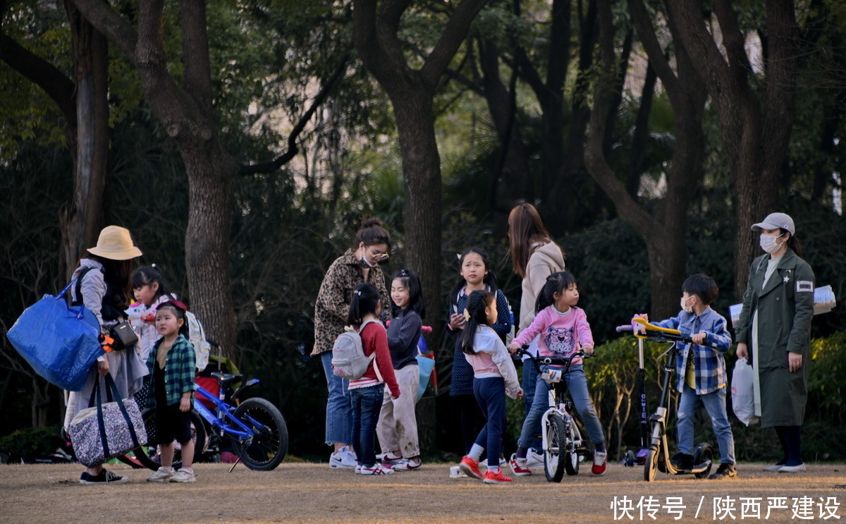 老年|新虹口花园的玉兰花开了【严建设】