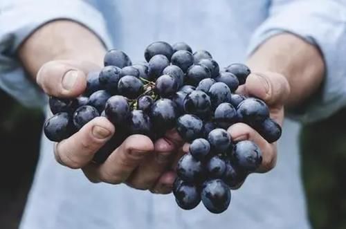 延缓衰老|经常吃葡萄，可能会给身体带来这六种好处，同时需注意这四件事