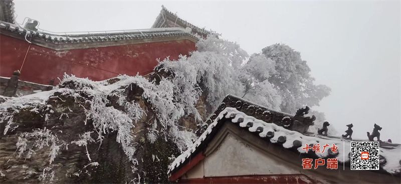 武当山|武当山24节气养生信——雨水