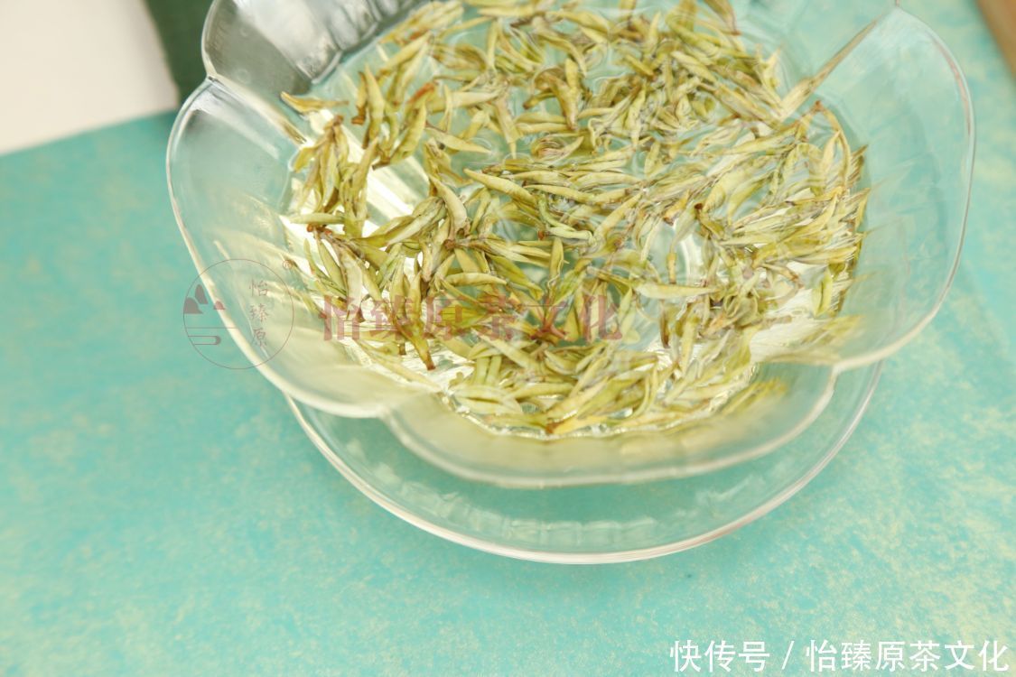 清热解毒|你的体质适合喝什么茶?夏日到来,一起来学会喝茶