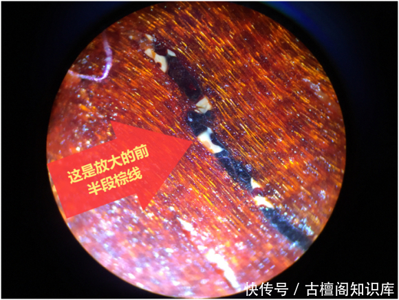 物质|小叶紫檀棕眼里的黑色物质到底是什么?