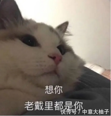 金盏花|护肤品真的需要用大牌才有效果?这5款告诉你,我命油我不由天!