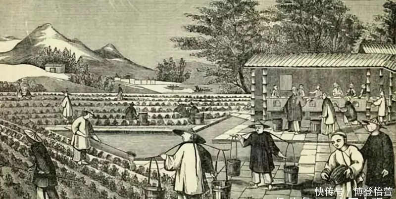 国库|汉武帝时外战耗尽国库,西汉是如何摆脱财政危机的?说出来别不信