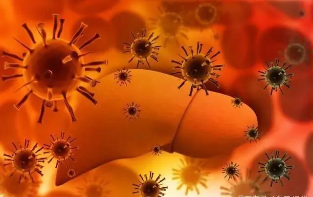 蚕豆|8种蔬菜一定不要再吃了，有毒伤肝，早知道早受益！