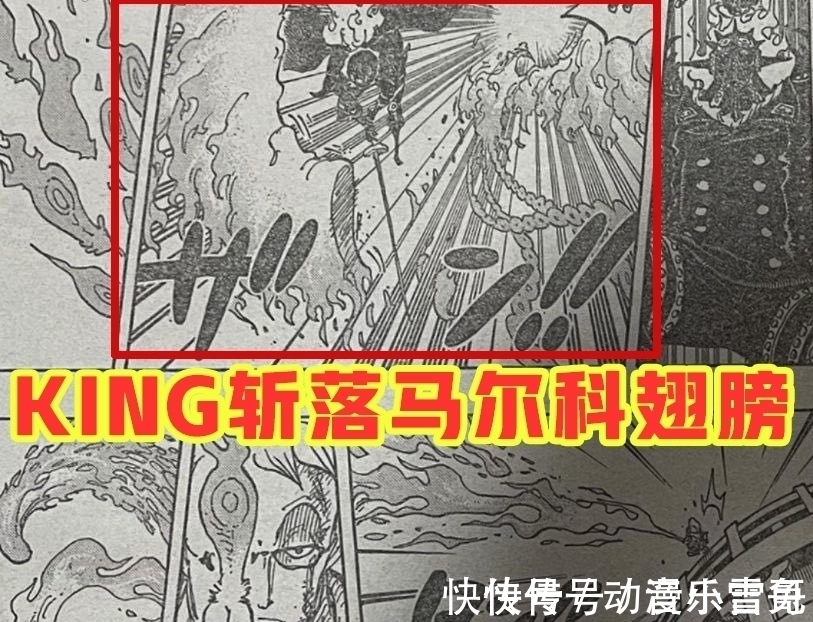 豹五郎|海贼王1006话:小马哥被烬斩落翅膀,豹五郎释放“生命归还”